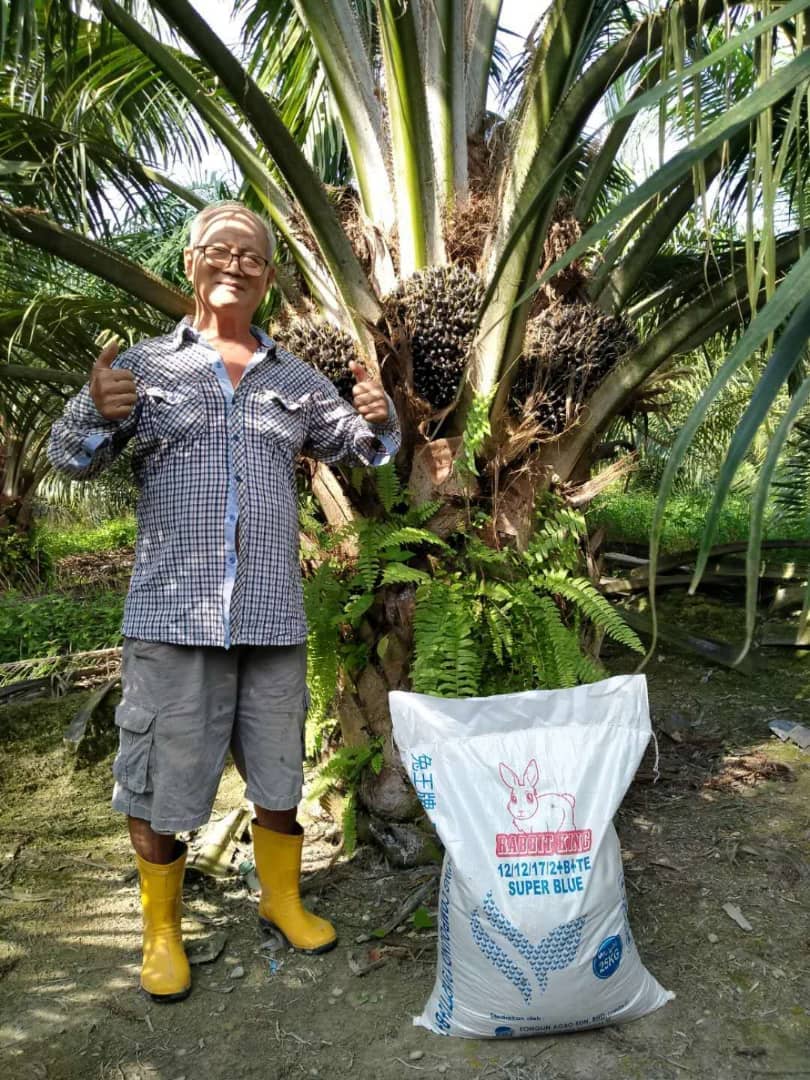 WhatsApp Image 2021-04-12 at 14.35.31