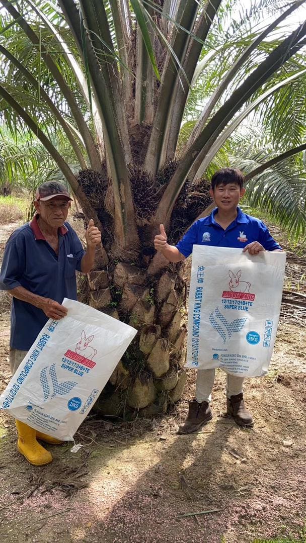 WhatsApp Image 2023-06-02 at 15.54.40