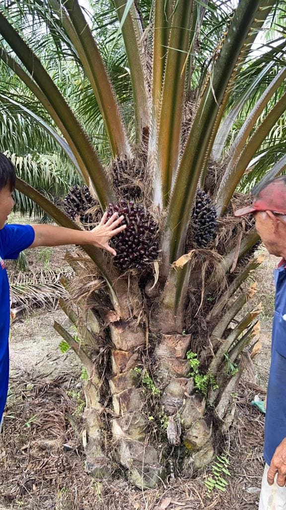 WhatsApp Image 2023-06-02 at 15.54.41